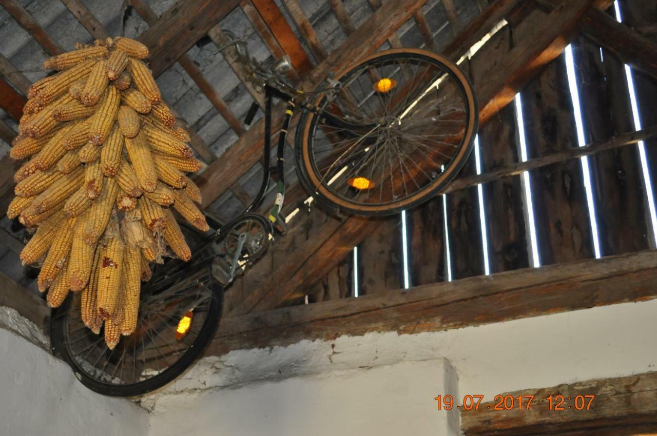 Appartmenthaus Josefikeller Apartment Podersdorf am See